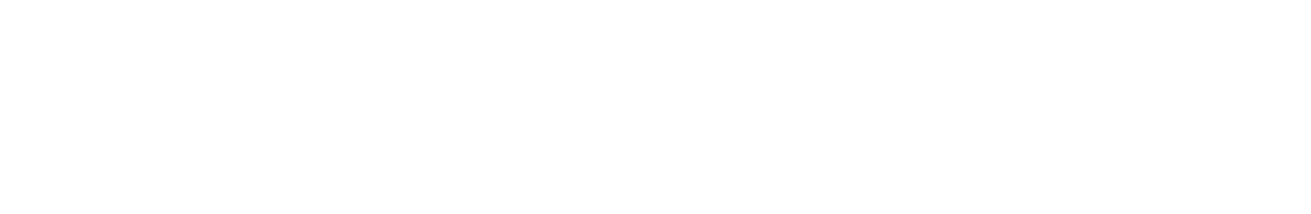 The New Standard